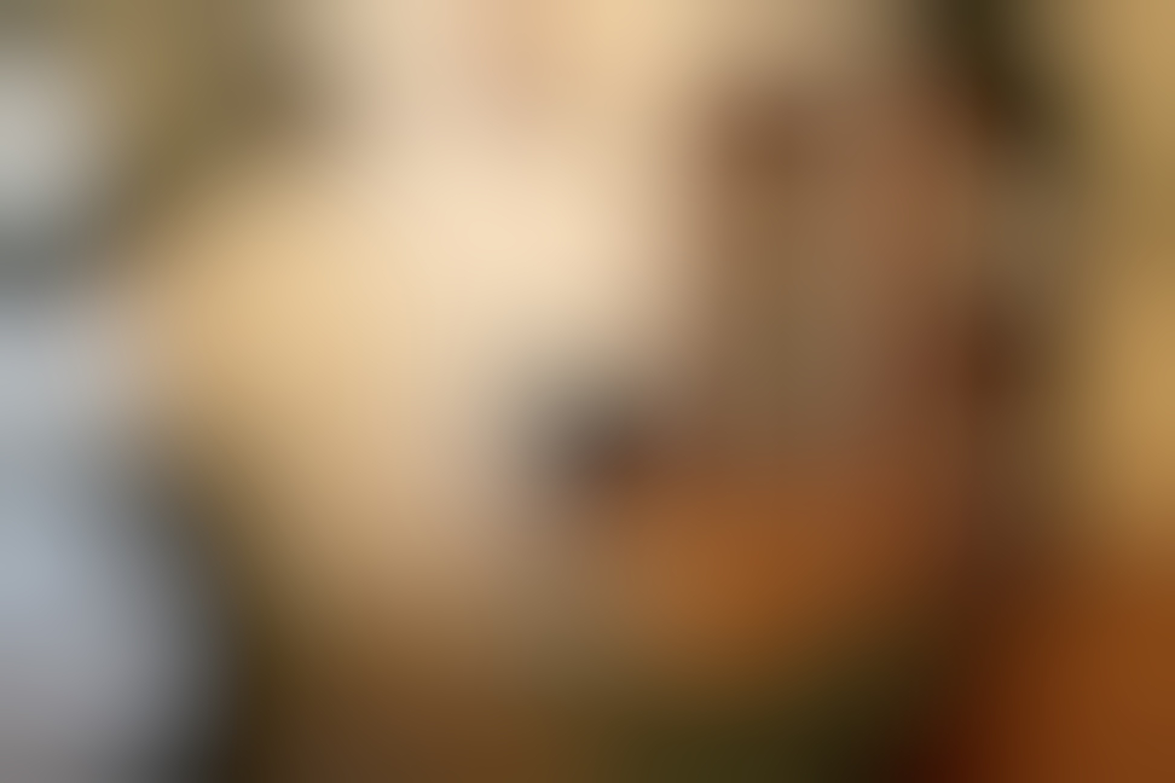 Image Placeholder Image Placeholder