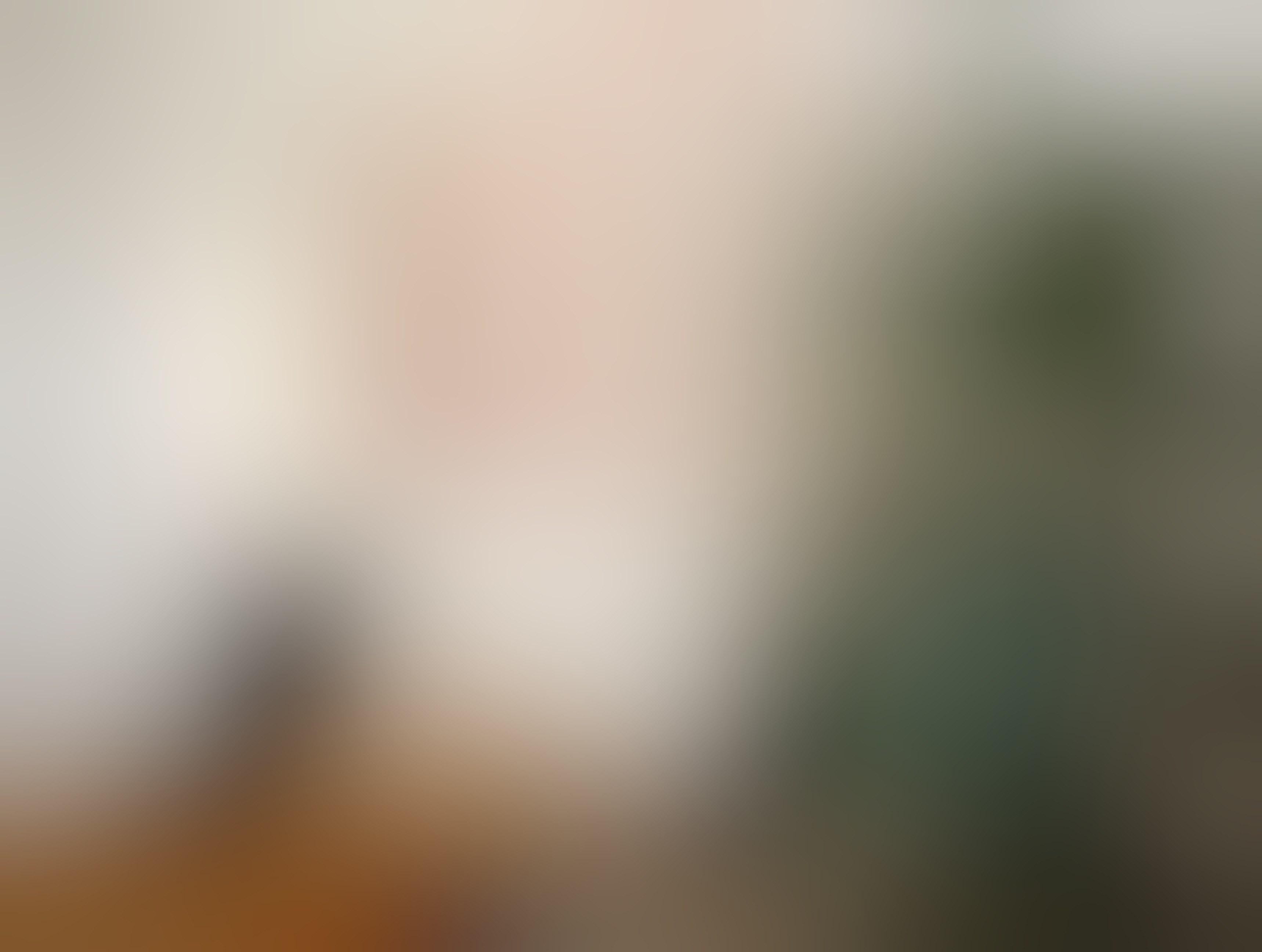 Image Placeholder Image Placeholder
